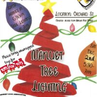 Nanuet Tree Lighting